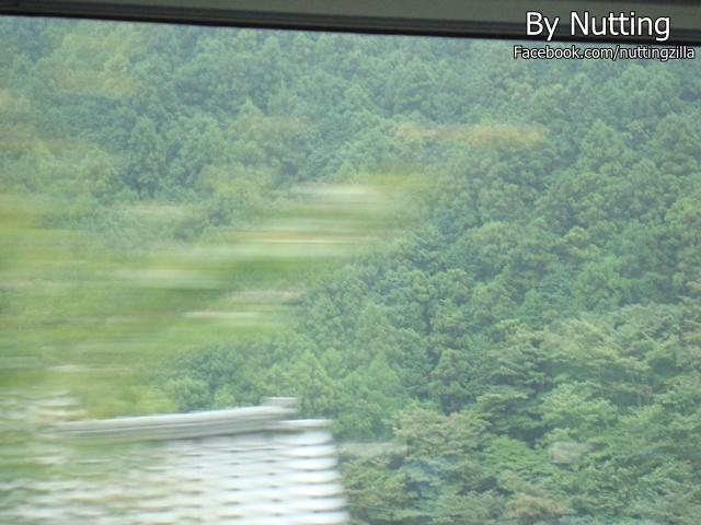 DSC03806.JPG
